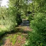 Inviting In The Woods In Ovifat *