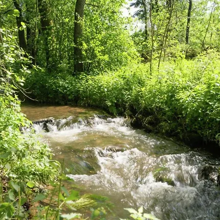Inviting In The Woods In Ovifat Waimes