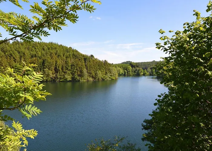 Inviting In The Woods In Ovifat *