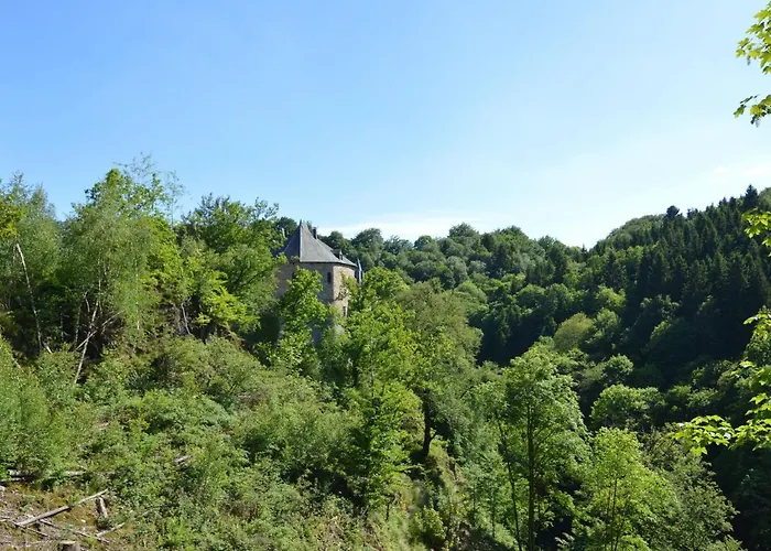 Chalet Inviting In The Woods In Ovifat *