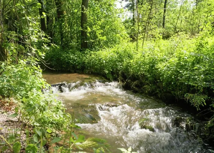 Inviting In The Woods In Ovifat Chalet Waimes