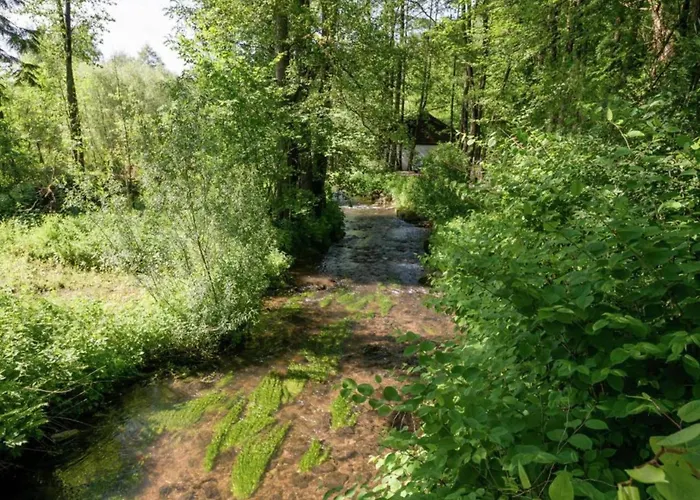 Inviting In The Woods In Ovifat *